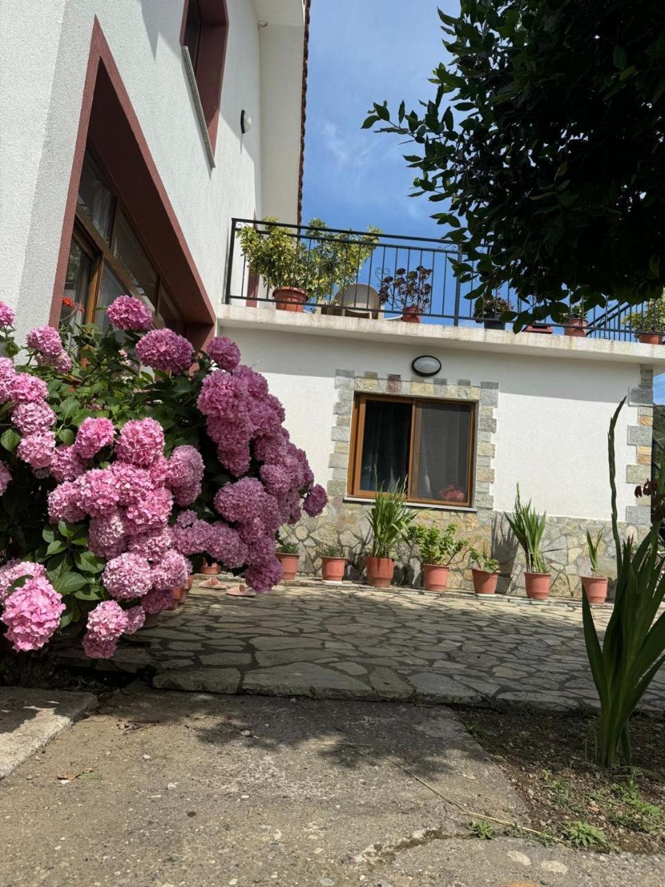 Villa Zefi Rrenc Papaj Exterior photo